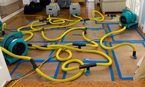 Professional Crawl Space Water Removal technician working in Medford, NY